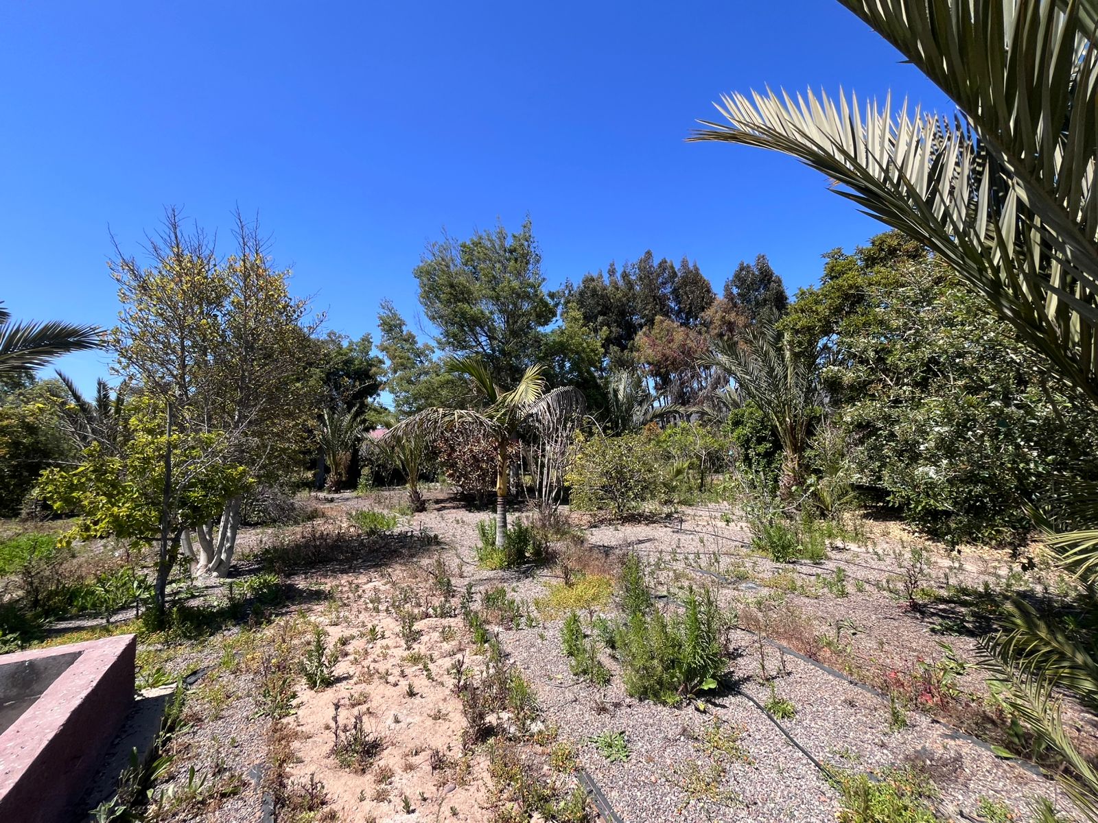 Foto de la propiedad