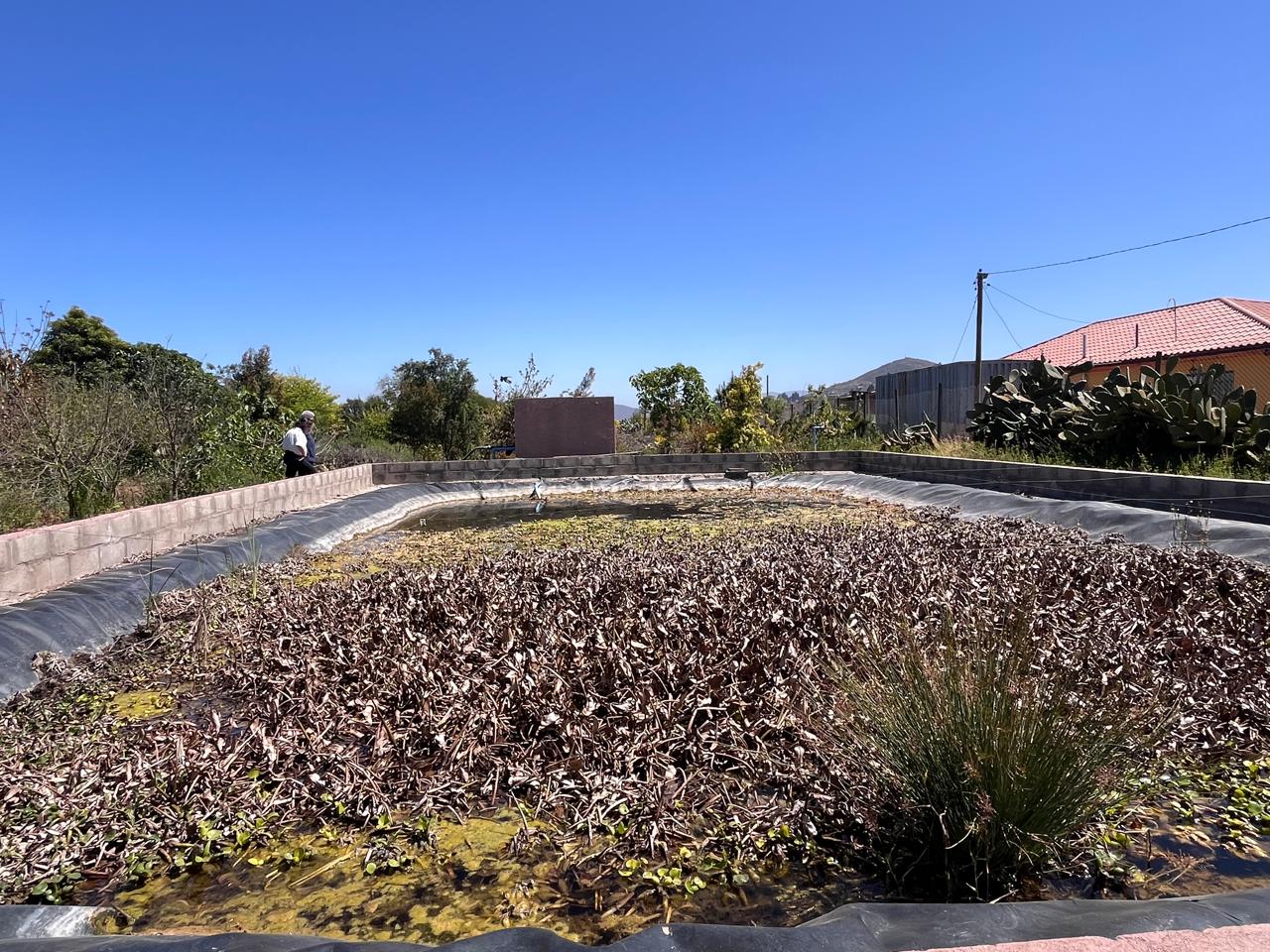 Foto de la propiedad