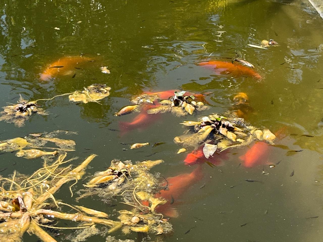 Foto de la propiedad