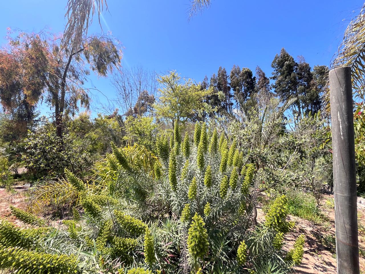 Foto de la propiedad