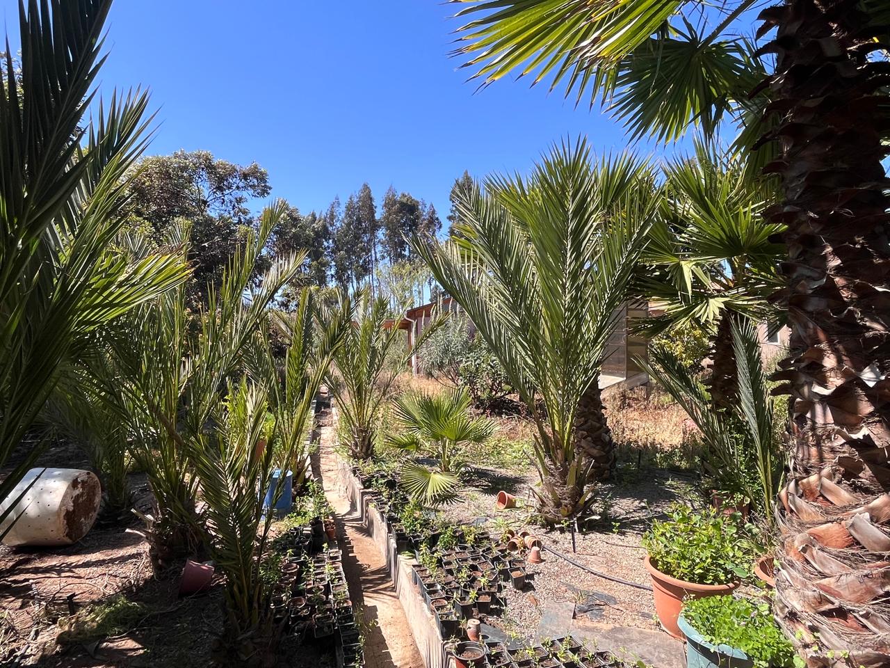 Foto de la propiedad