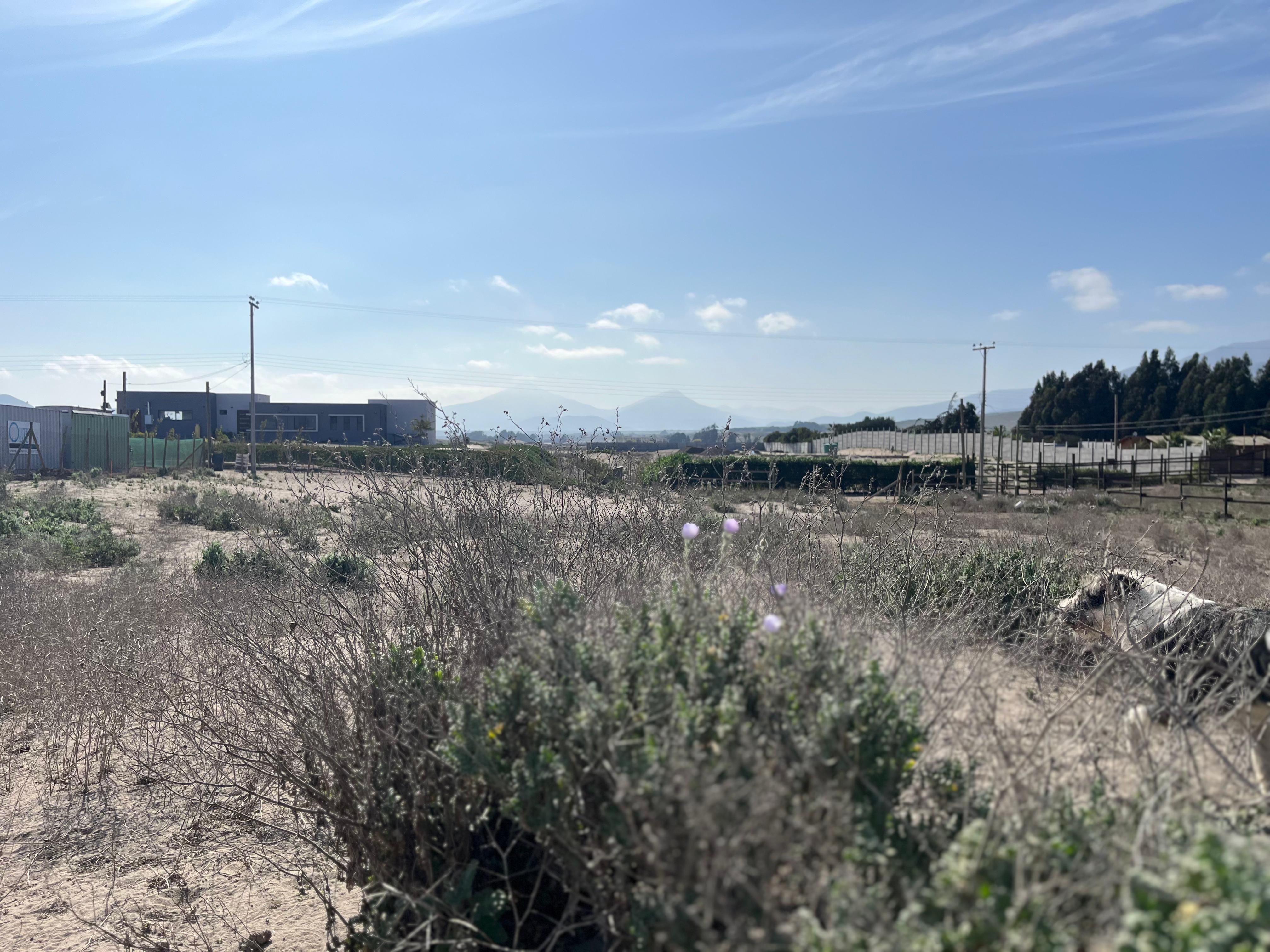 Foto de la propiedad