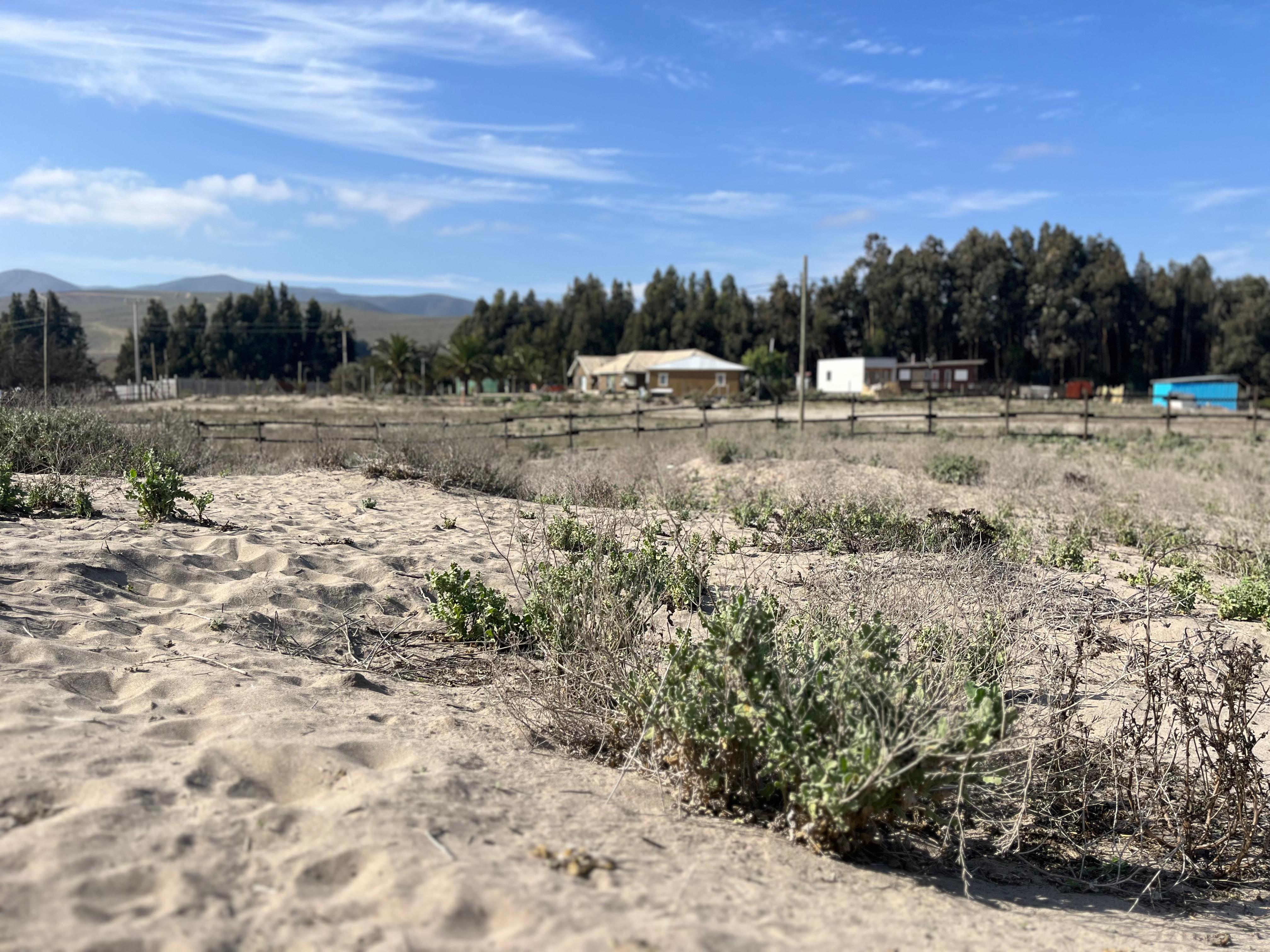 Foto de la propiedad