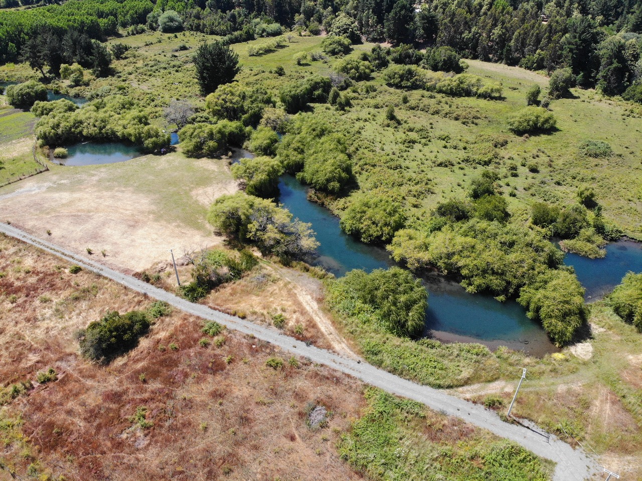 Foto de la propiedad