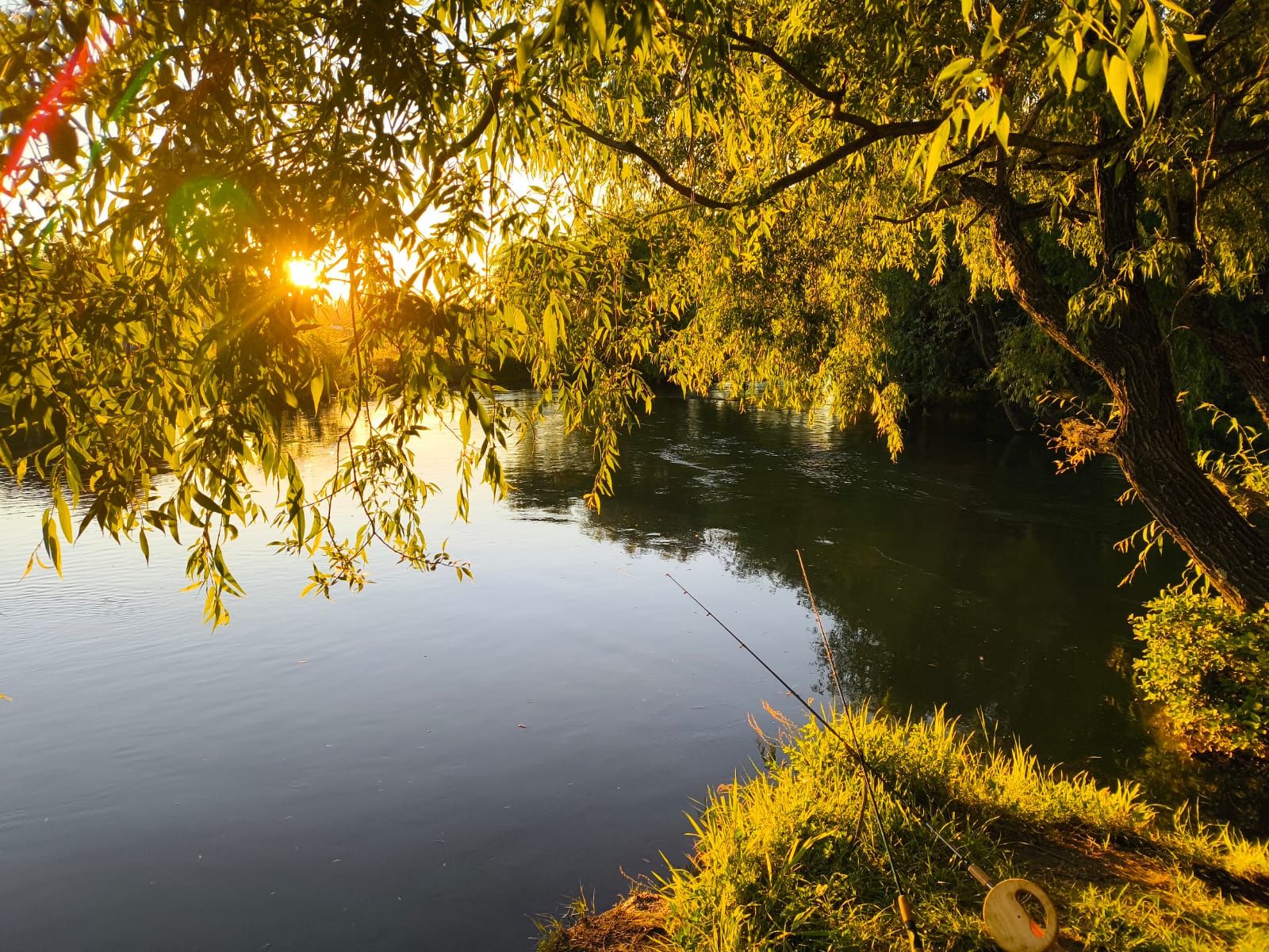 Foto de la propiedad