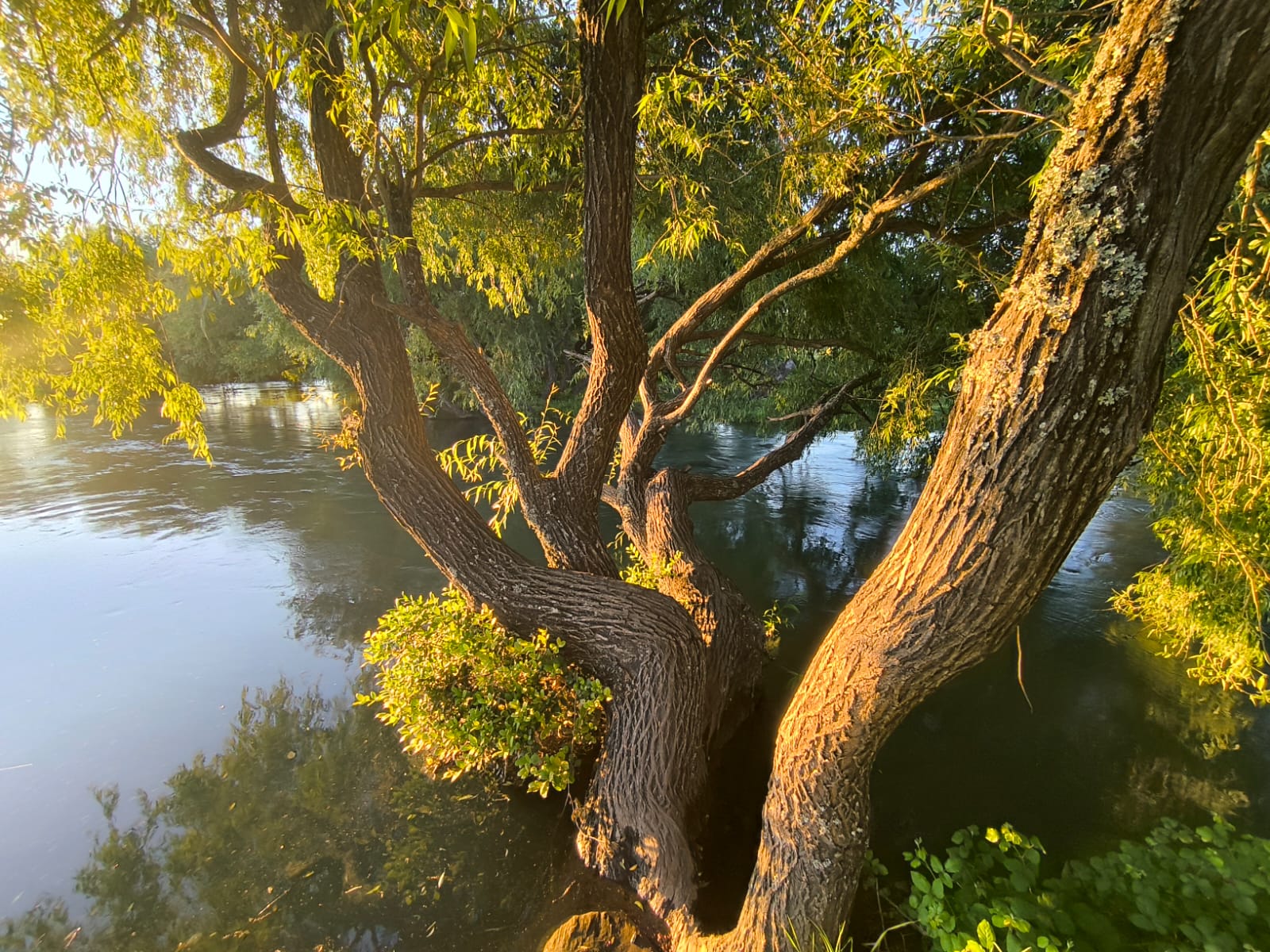 Foto de la propiedad