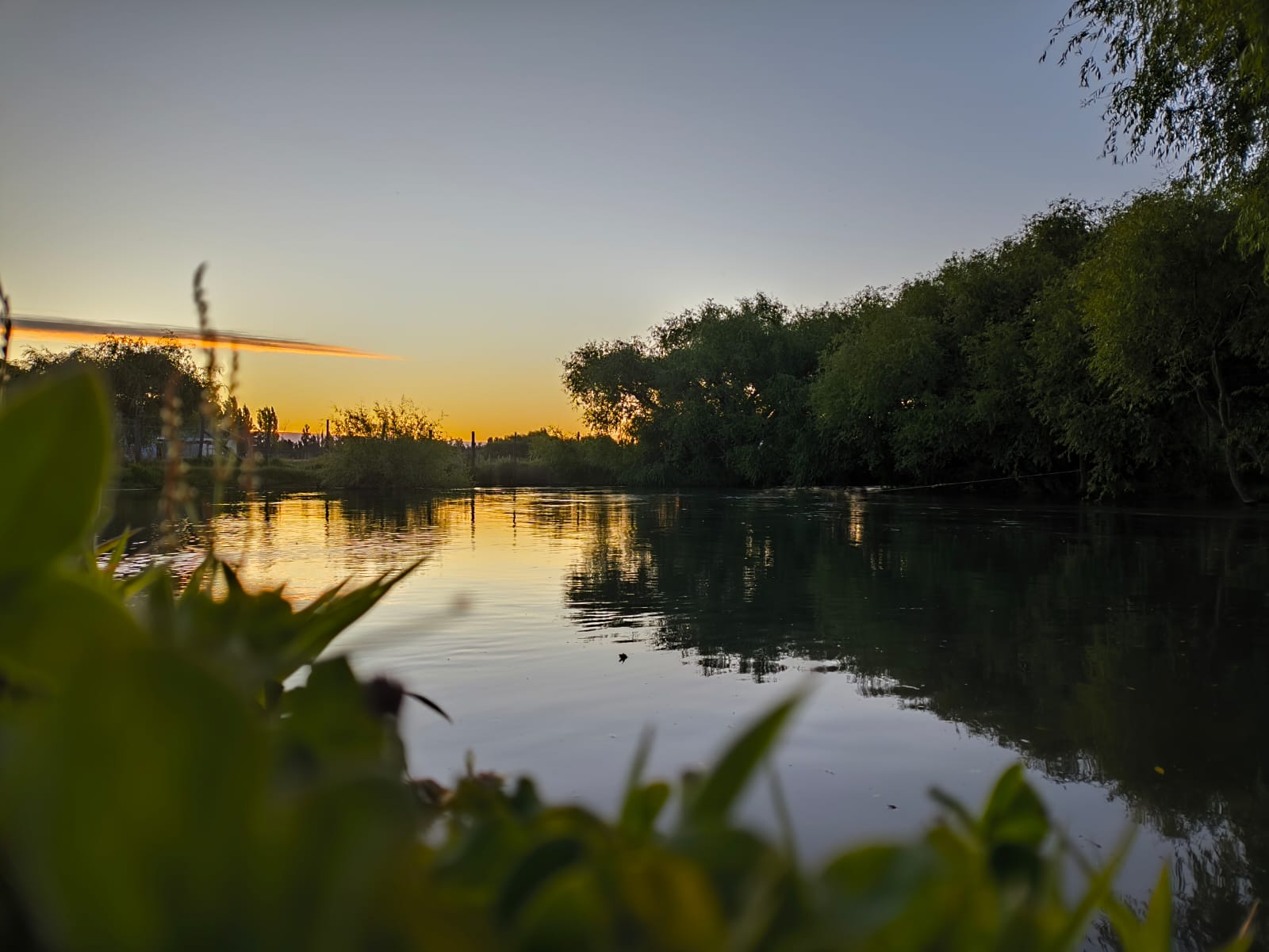 Foto de la propiedad